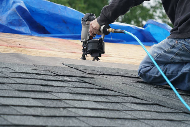 Best Roof Moss and Algae Removal  in Union, KY